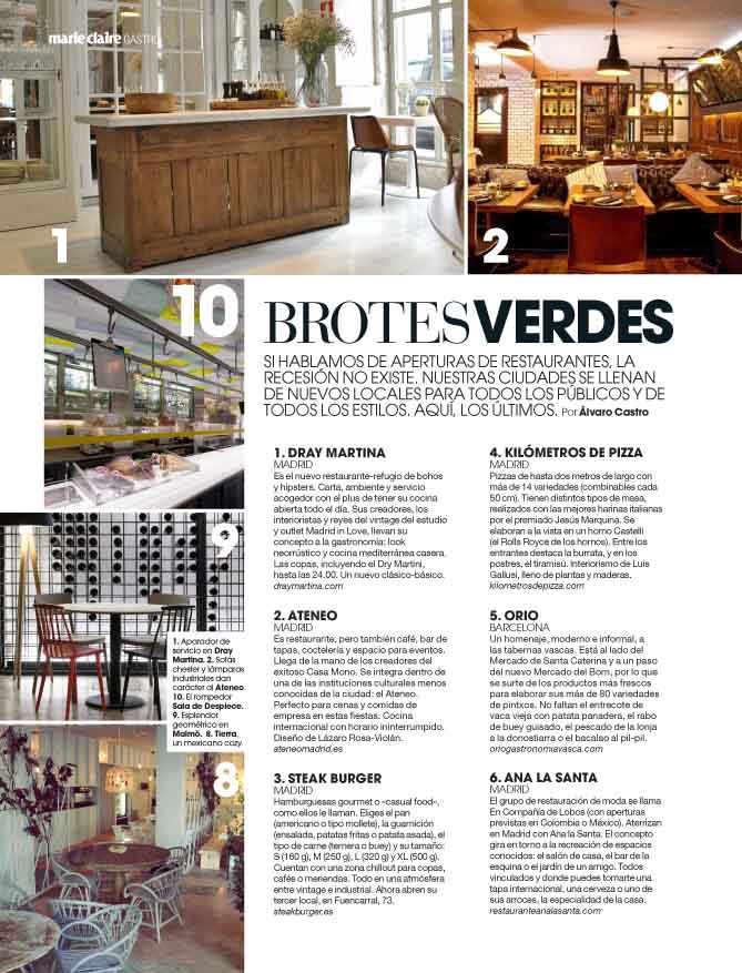 Brotes verdes. Diciembre 2013